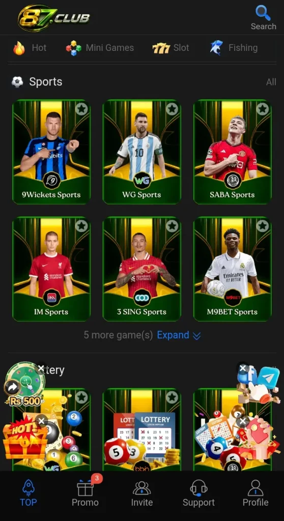 87Club Game Interface