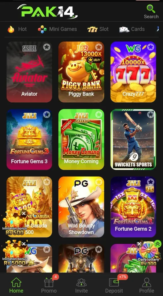  PAK14 Game  Interface